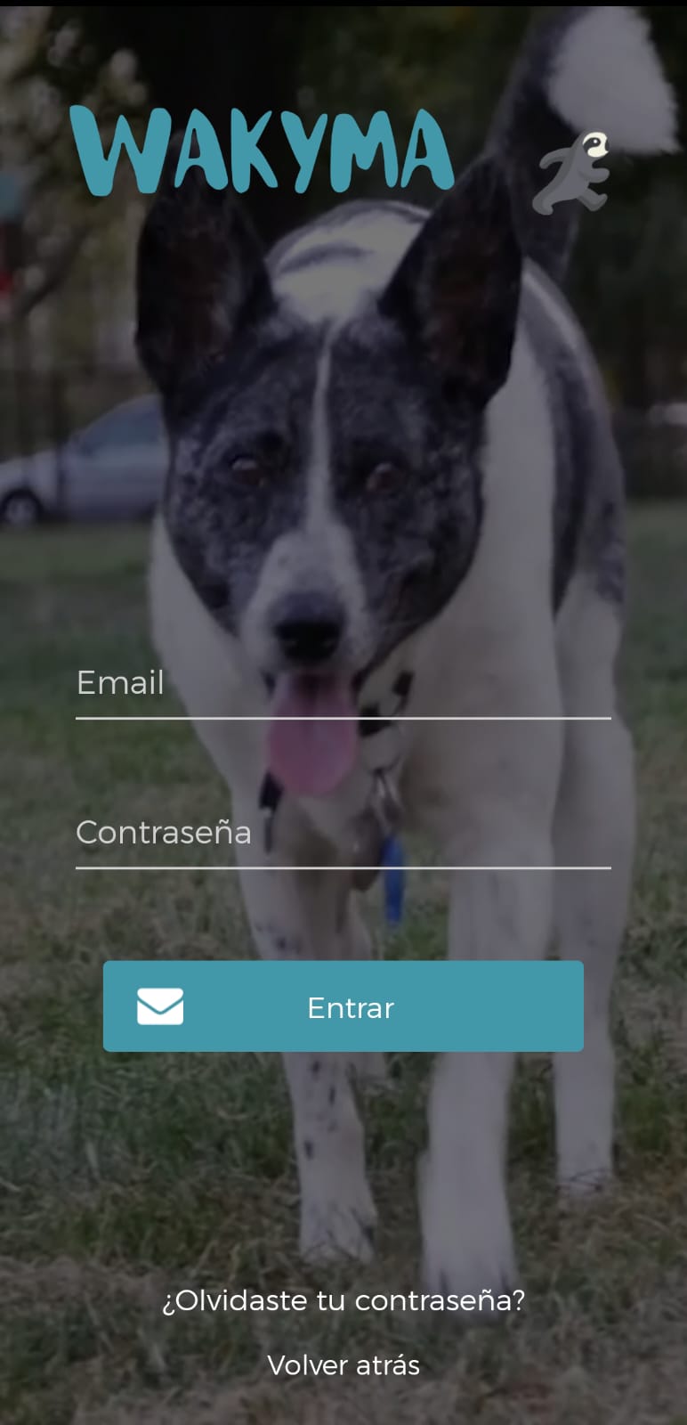 inicio con correo .jpg