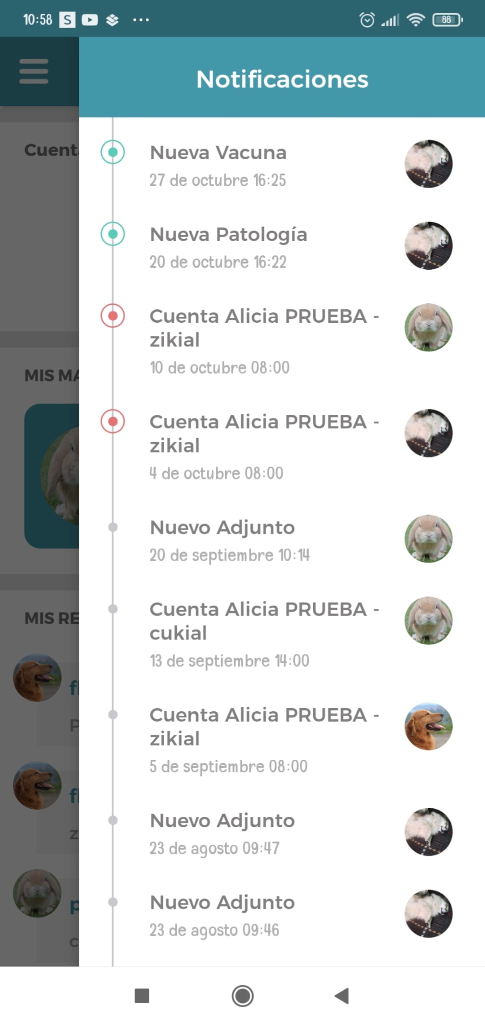 recuadro notificacion.jpg