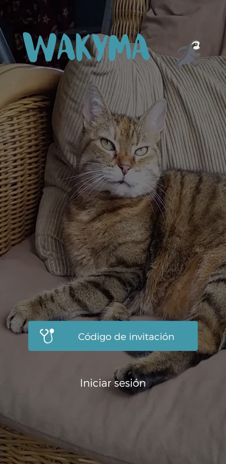 inicio sesión.jpg
