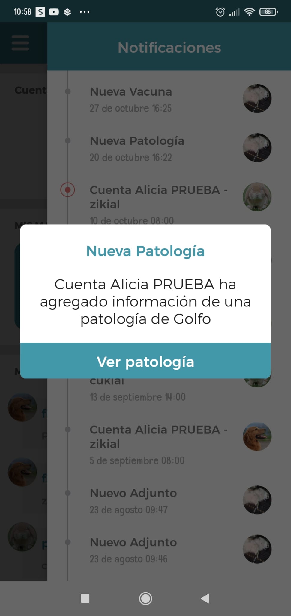 notificacion paara app.jpg